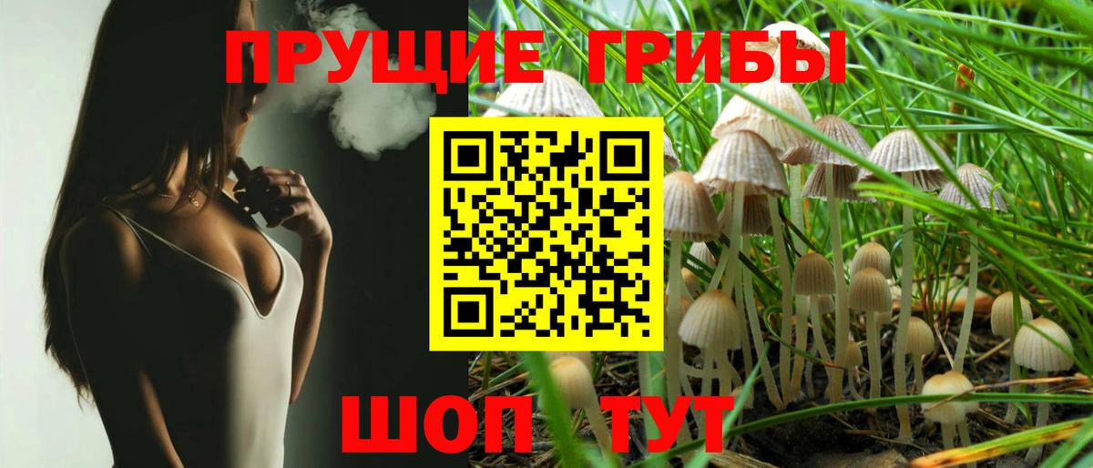 Галлюциногенные грибы Magic Shrooms Норильск